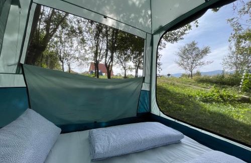 Pui Other | Camping Baleia