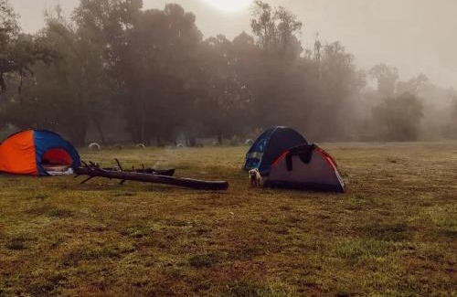 Villa de Leyva Other | Camping Bugambil