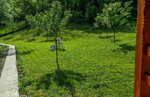 Vata de Jos Other | Camping Ciungani