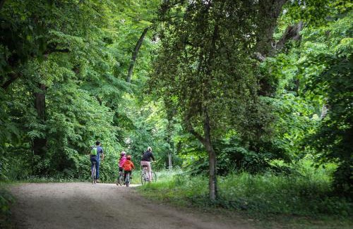 Le Lion-d'Angers Other | Camping du Lion d'Angers