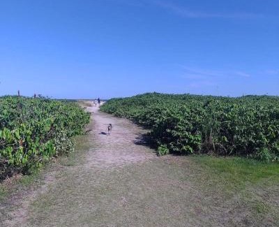 Paranagua Hotel | Camping e Pousada do Ade