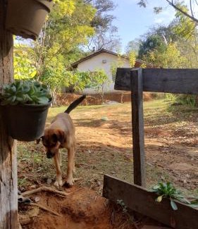 Carvalhos Other | Camping e pousada dos sonhos