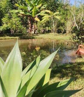 Carvalhos Other | Camping e pousada dos sonhos