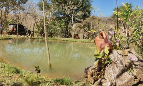 Carvalhos Other | Camping e pousada dos sonhos