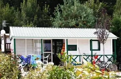 Castelnau-de-Montmiral House | Camping du Chêne Vert * - Bungalow Comfort 5pers 38,50m2 with covered terrace 2 bedrooms shaded and half shaded 5 people