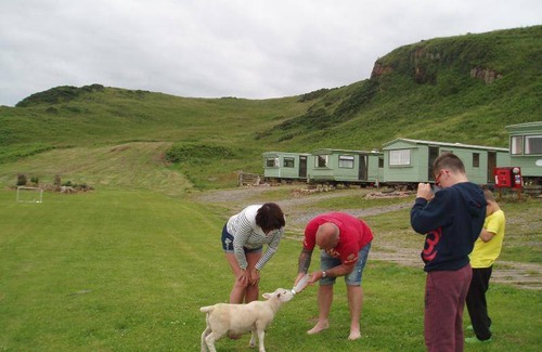 Campbeltown Other | Camping