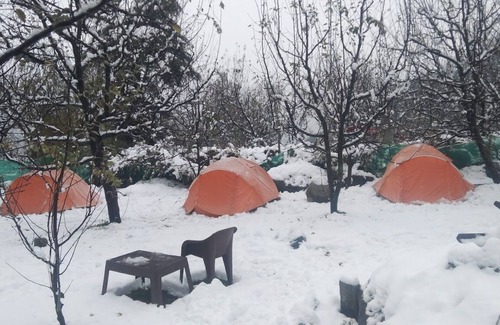 New Manali RV Rental | Camping in Solang Valley Manali
