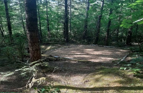 Belfair RV Rental | Camping in the Shire at Elfendahl Forest.