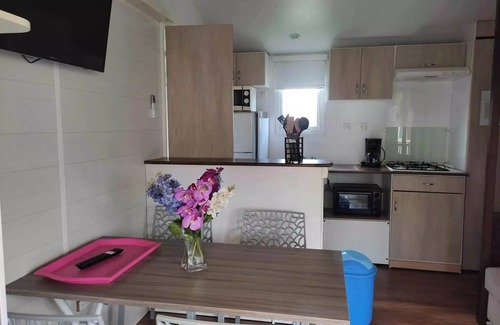 Massillargues-Attuech House | Camping l'Olivier * - Mobile homes Grand Comfort 2 bedrooms 4 people