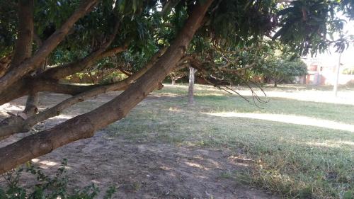 Rio De Contas Other | Camping Lafetá