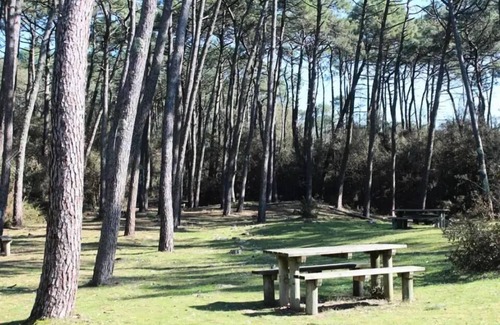 Jard-sur-Mer House | Camping le Bosquet* - Lodge tent 3 rooms 5 people Without Toilet blocks