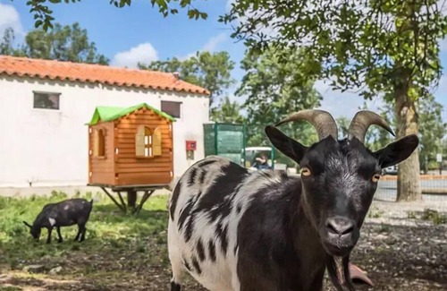 Puyravault House | Camping le Merval * - Mobil home eco 2 bedrooms 4 people