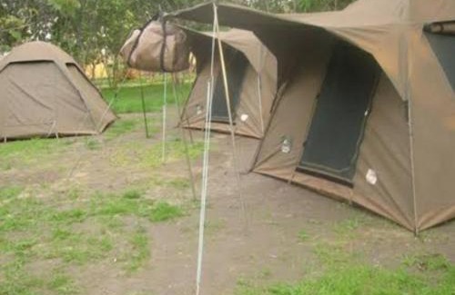 Magamba Other | Camping Magamba Forest