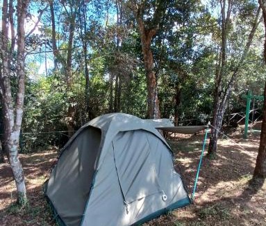 Magamba Other | Camping Magamba Forest