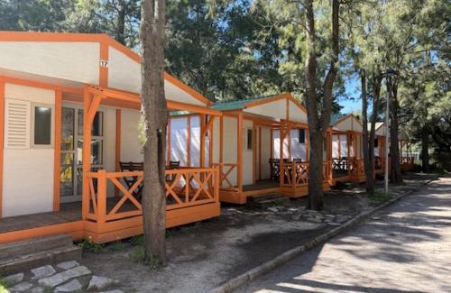 Bolonia Other | Camping Paloma