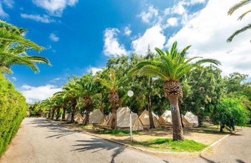 Bolonia Other | Camping Paloma