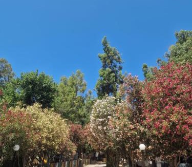 Rossano Other | Camping Pitagora