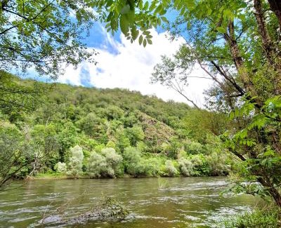 Saint-Parthem Other | Camping Pittoresque
