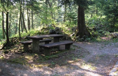 Postojna Other | Camping Pivka Jama Postojna