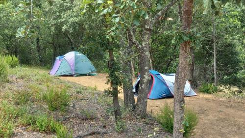 Boule-d'Amont Other | CAMPING Pleine Nature