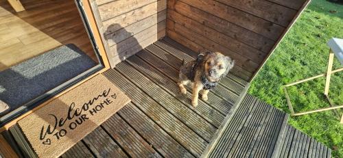 Fangfoss Other | Camping Pod on Quiet Adults Only, Dog Friendly Campsite