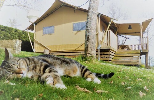 Cassagnabere-Tournas House | Camping Pré Fixe**** - Lodge Safari Woody 3 rooms 4 persons