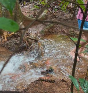 Chapada dos Guimaraes Other | Camping Sem Cama - Leve sua Barraca