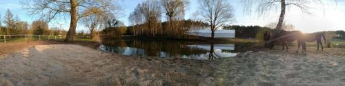 Grudziadz Other | Camping w Lesie