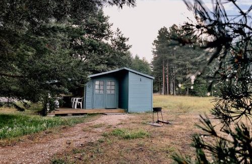 Pavilosta Other | Camping Zvejnieksēta