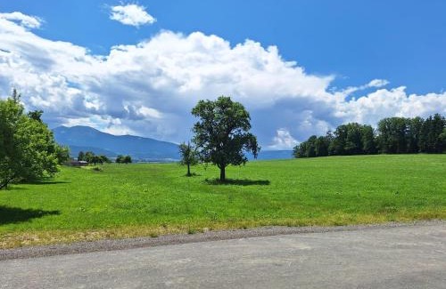 Spielberg Other | Campingplatz Orange Schindelbacherhof