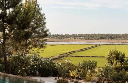 Carvalhal Villa | Campo de Arroz