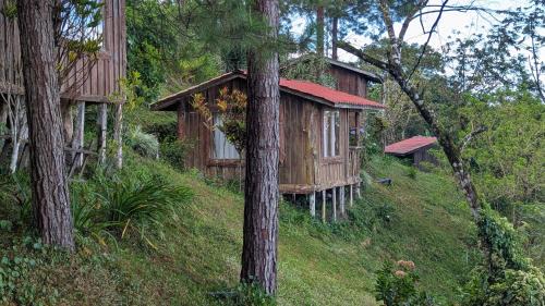 Sierra Cabin | Campos de Oro Wilderness Lodge