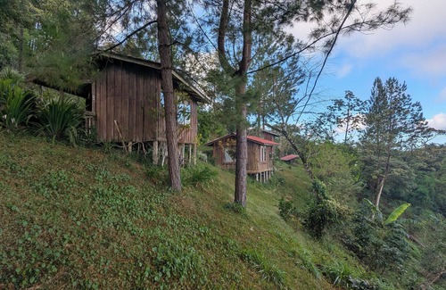 Sierra Cabin | Campos de Oro Wilderness Lodge