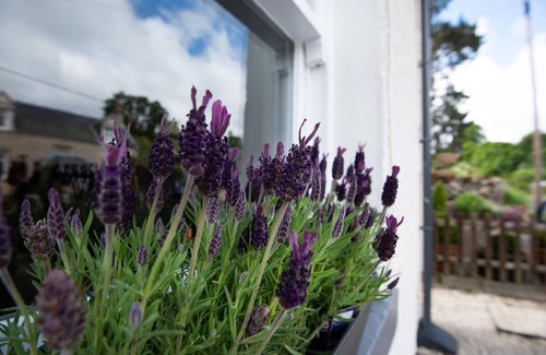 Jedburgh Cottage | CAMPSIE COTTAGE - sleeps 4 guests in 2 bedrooms