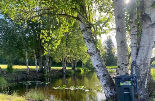 Ferndale RV Rental | CAMPSITE 2 Cottonwood pond CAMPSITE on JuneBudFarms