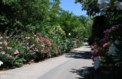 Goudargues House | Campsite Flower le Saint Michelet* - Mobile home Riviera Confort 3 rooms 4 people Air-conditioned