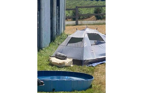 Ferndale RV Rental | CAMPSITE Limerick fields CAMPSITE ONLY on June Bud Farms