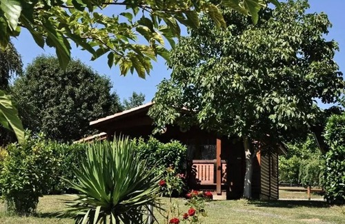 Montrejeau Ski Chalet | Campsite Midi Pyrenees * - Chalet 1 bedroom 2 people