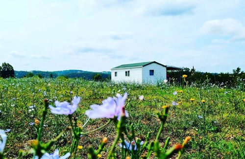 Soturac House | Campsite Nature Le Valenty * - Mobil home 2 bedrooms panoramic Dordogne air conditioned 6 people