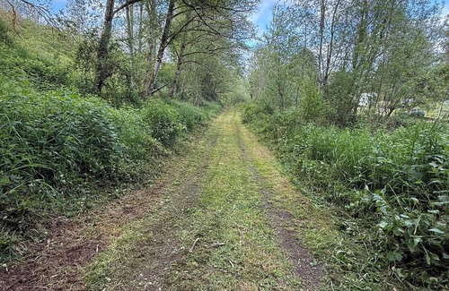 Clatskanie Cabin | Campsite with cabin located in quiet Claskanie Oregon! Endless hiking trails!