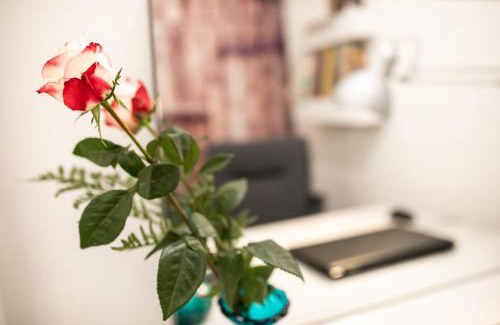 Forli Apartment | Campus House