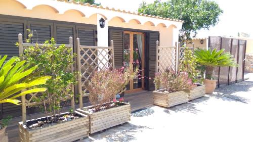 Sant Francesc Xavier Apartment | can jaume portas