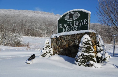 Davis Condo | Canaan Valley 1BR renovated 1BR, family friendly.
