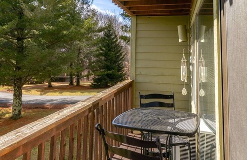 Davis Condo | Canaan Valley 1BR renovated 1BR, family friendly.