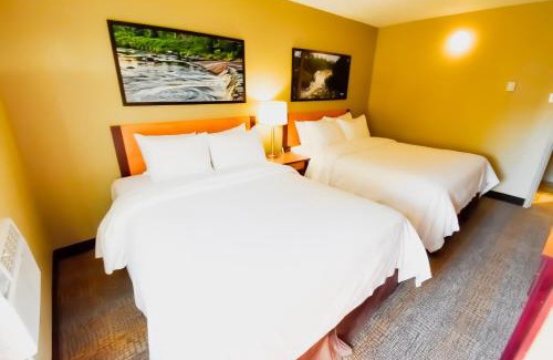 Winnipeg Hotel | Canad Inns Destination Centre Windsor Park