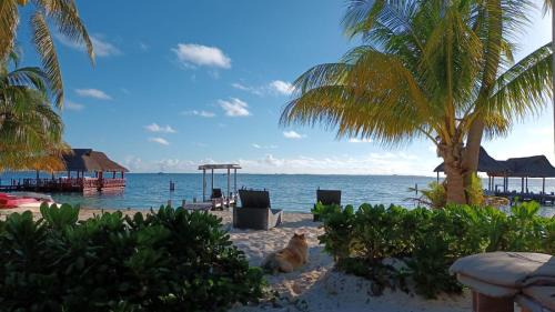 Puerto Juarez Apartment | CANCUN PRIVATE APARTMENT