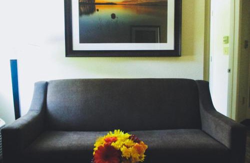 Alabaster Hotel | Candlewood Suites Alabaster by IHG