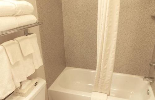 Fort Worth Hotel | Candlewood Suites Dallas Fort Worth South by IHG