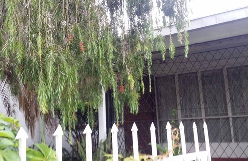 Harare Cottage | Candy's cottage, Villa Monaco