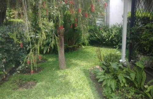 Harare Cottage | Candy's cottage, Villa Monaco